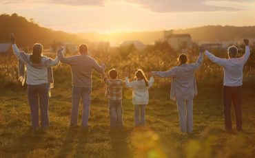 Family holding and rising hands in field at sunset, back view